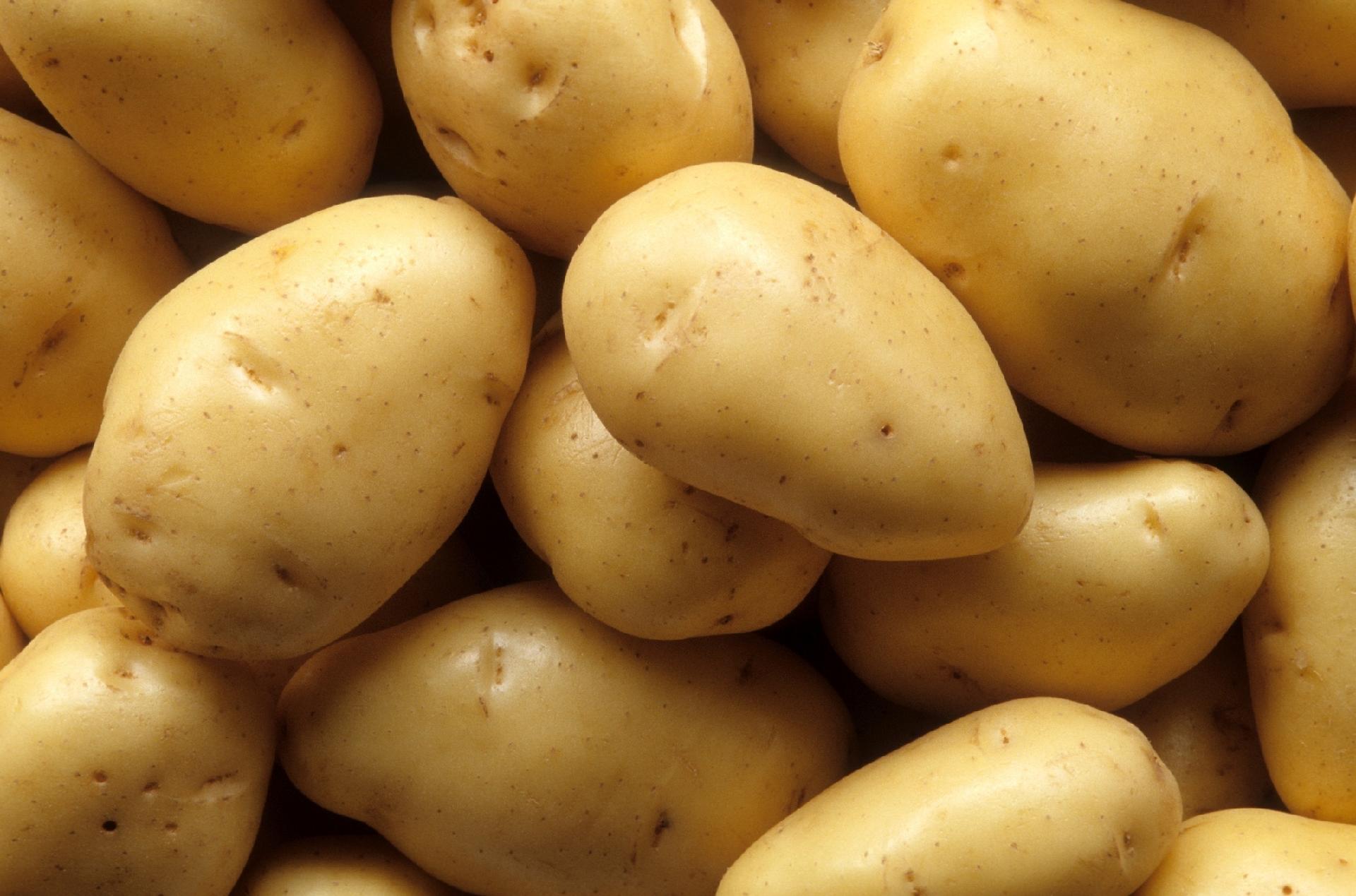 Preço da batata dispara e cesta básica já encosta em R$ 1.000